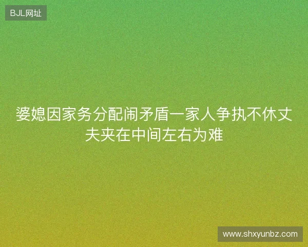 婆媳因家务分配闹矛盾一家人争执不休丈夫夹在中间左右为难